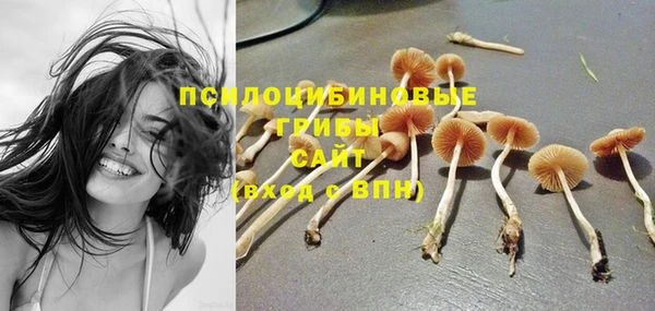 бутират Елизово