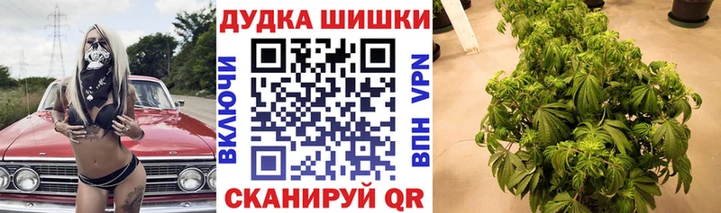 Купить закладки  Константиновск  Канабис SATIVA & INDICA 
